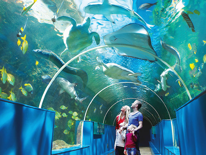 Group Bookings Oceanarium, the Bournemouth Aquarium