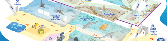 Explore The Aquarium In UK Bournemouth Oceanarium Explore The Aquarium In UK Bournemouth Oceanarium