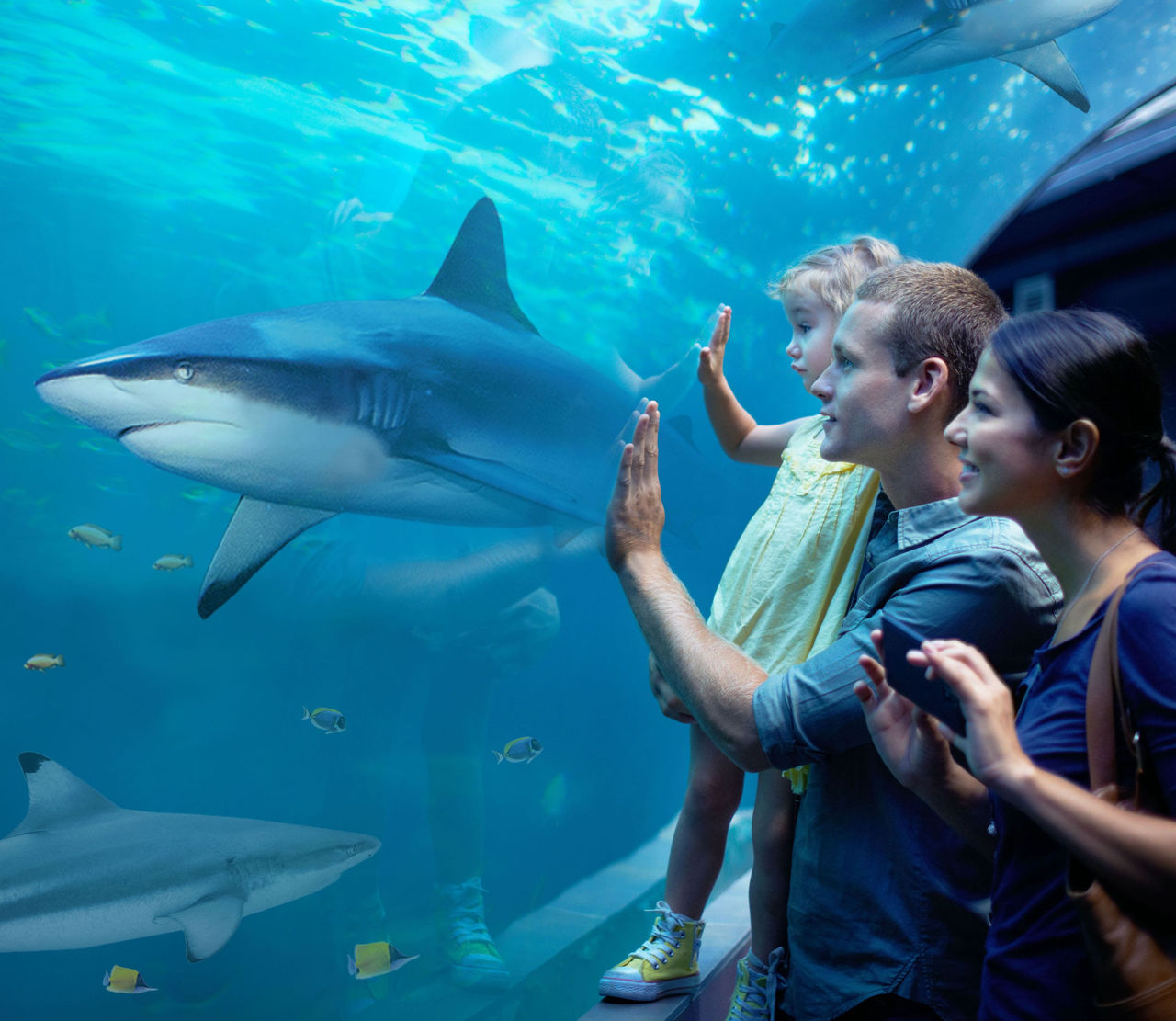 newsletter highlight Parque Warner Madrid