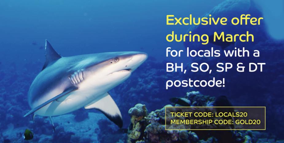 Half price entry is back at the Oceanarium this March!