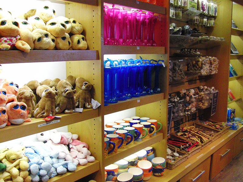 Cove Gift Shop Bournemouth Oceanarium