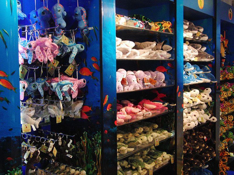 Cove Gift Shop Bournemouth Oceanarium