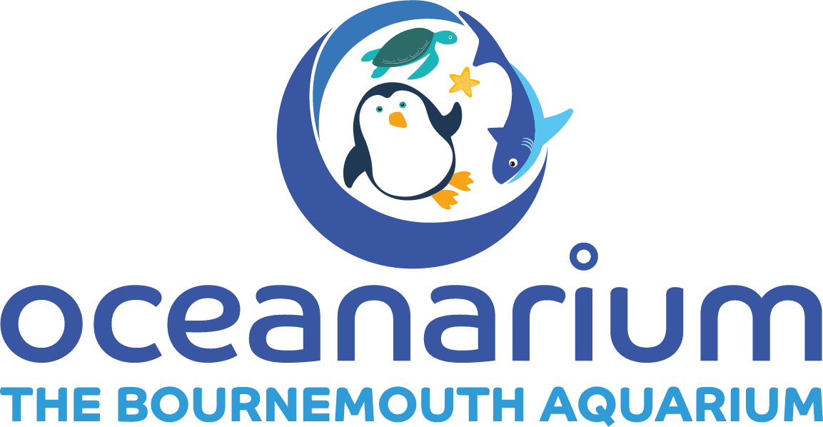 Oceanarium
