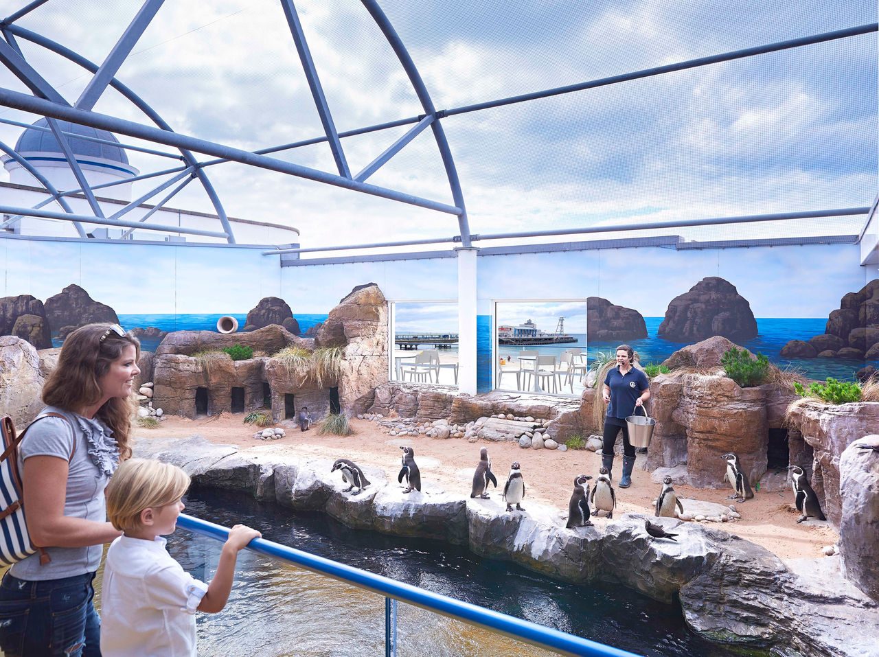 Penguin Feeding Experience